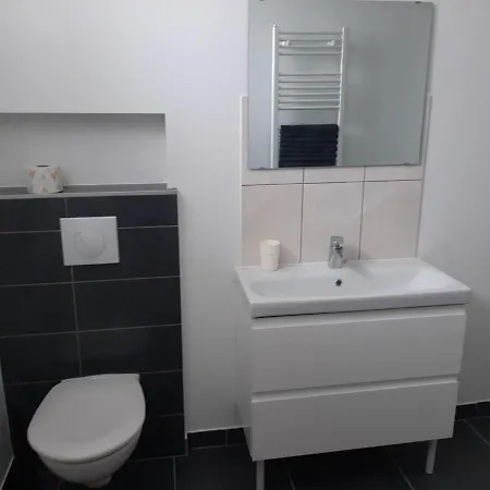 L'annexe De L'ameriviere 3* Aubrives